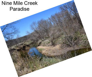 Nine Mile Creek Paradise
