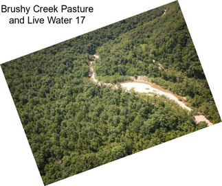 Brushy Creek Pasture and Live Water 17