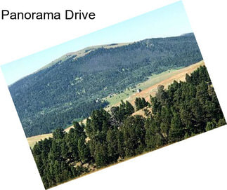 Panorama Drive
