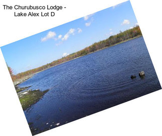 The Churubusco Lodge - Lake Alex Lot \