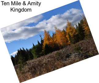 Ten Mile & Amity Kingdom