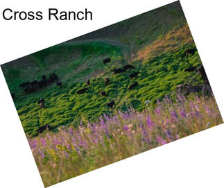 Cross Ranch