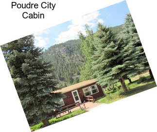 Poudre City Cabin