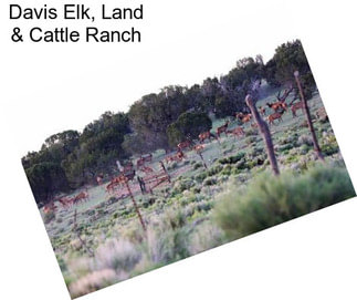 Davis Elk, Land & Cattle Ranch