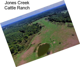 Jones Creek Cattle Ranch
