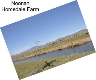 Noonan Homedale Farm