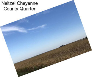 Neitzel Cheyenne County Quarter