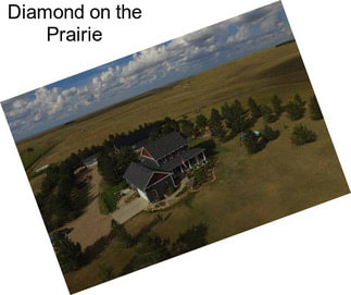 Diamond on the Prairie