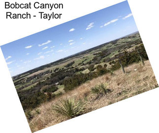 Bobcat Canyon Ranch - Taylor