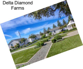 Delta Diamond Farms