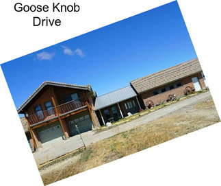 Goose Knob Drive