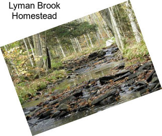 Lyman Brook Homestead