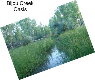 Bijou Creek Oasis