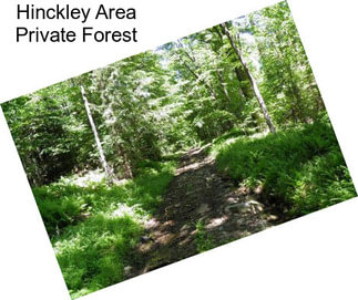 Hinckley Area Private Forest