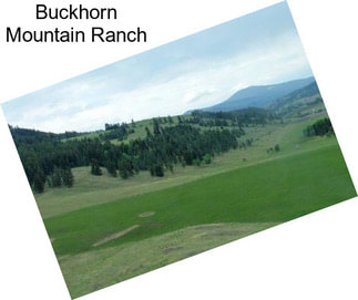 Buckhorn Mountain Ranch