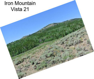 Iron Mountain Vista 21