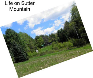 Life on Sutter Mountain