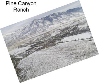 Pine Canyon Ranch