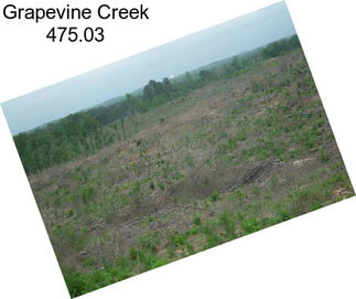 Grapevine Creek 475.03