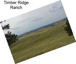 Timber Ridge Ranch