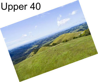 Upper 40