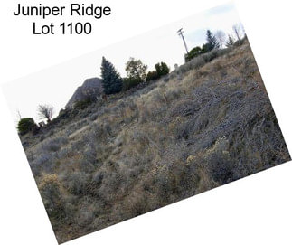 Juniper Ridge Lot 1100