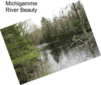 Michigamme River Beauty