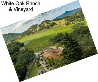 White Oak Ranch & Vineyard
