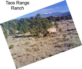 Taos Range Ranch