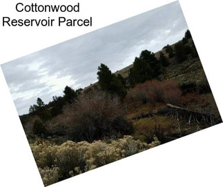 Cottonwood Reservoir Parcel