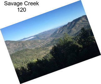 Savage Creek 120