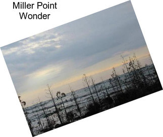 Miller Point Wonder