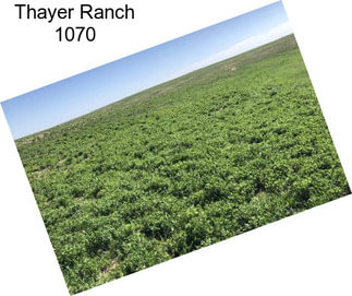 Thayer Ranch 1070