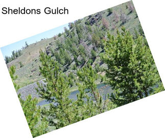 Sheldons Gulch