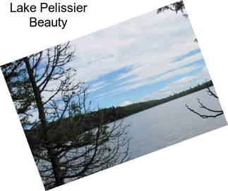 Lake Pelissier Beauty