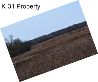 K-31 Property