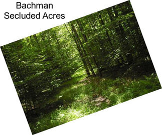 Bachman Secluded Acres