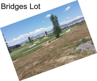 Bridges Lot