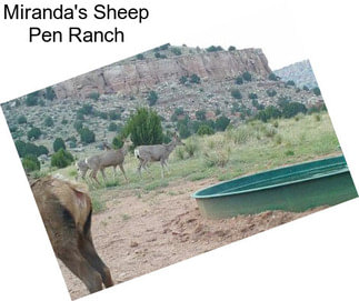 Miranda\'s Sheep Pen Ranch