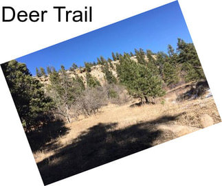 Deer Trail