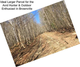 Ideal Larger Parcel for the Avid Hunter & Outdoor Enthusiast in Brownville