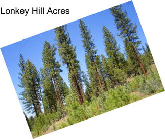 Lonkey Hill Acres