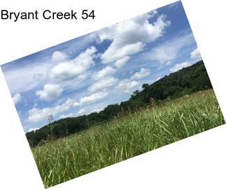 Bryant Creek 54