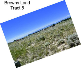 Browns Land Tract 5