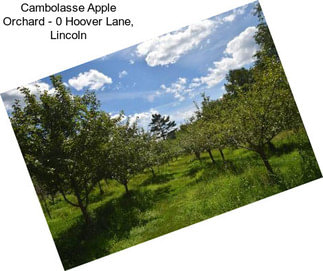 Cambolasse Apple Orchard - 0 Hoover Lane, Lincoln