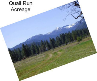 Quail Run Acreage