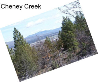 Cheney Creek