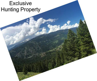 Exclusive Hunting Property