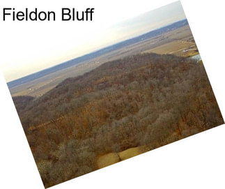 Fieldon Bluff