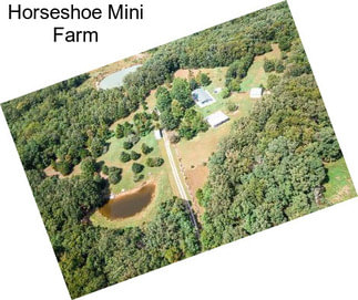 Horseshoe Mini Farm